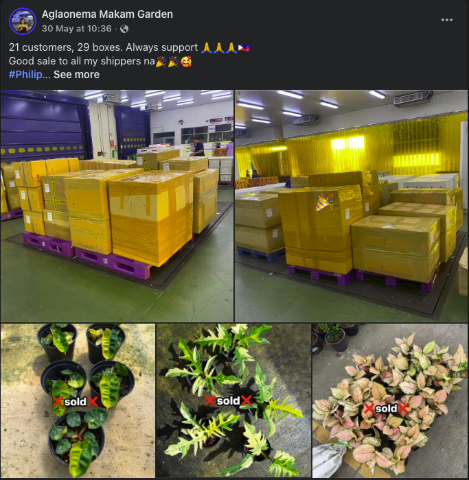 Customer review